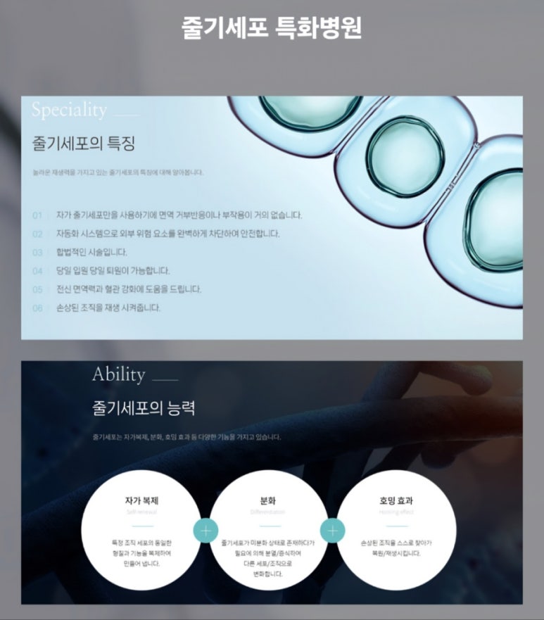 뮤토 이미지