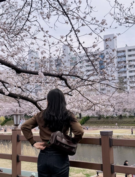 (주)다모인 이미지