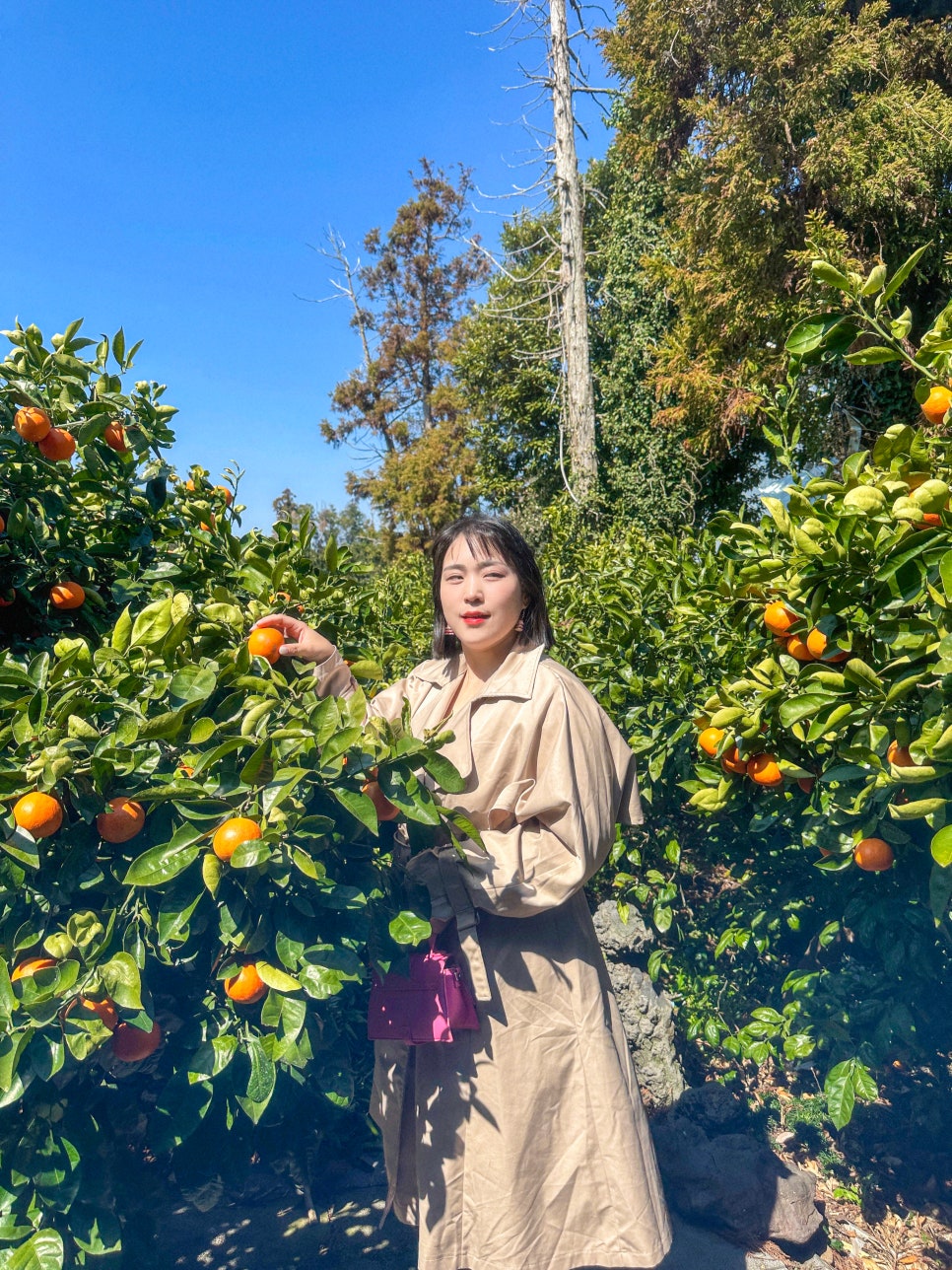 정방폭포기념품점 이미지