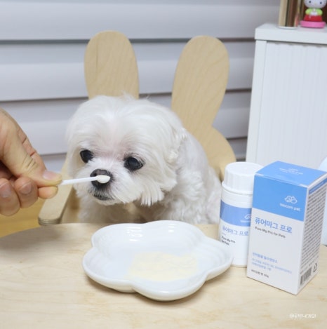 퓨어종합관리 이미지