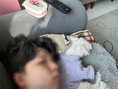 네비팔이 이미지