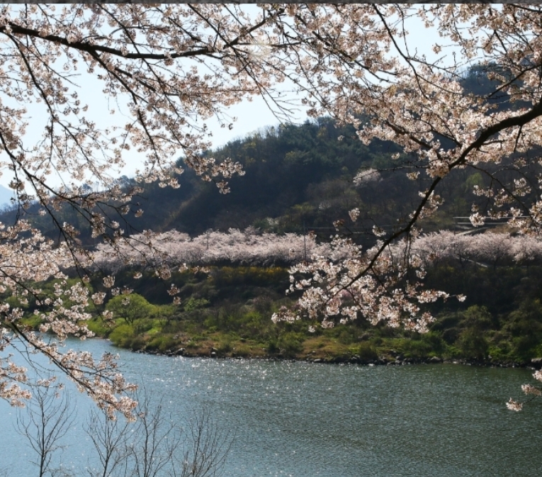 지리산힐링마켓 이미지