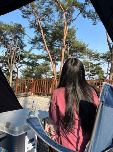 교룡공원 숲속야영장 이미지