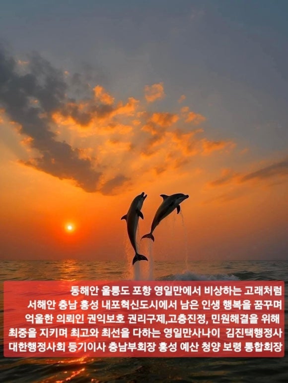 홍성행정사사무소 이미지