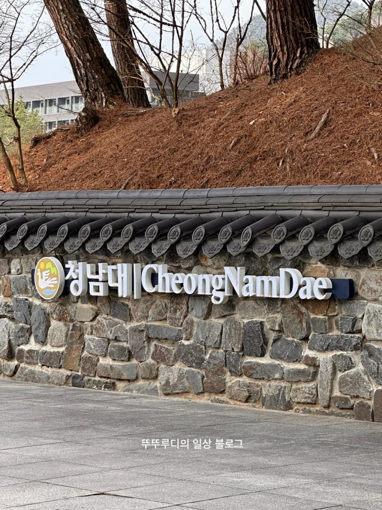 서대문 김치찜&김치찌개 금천점 이미지