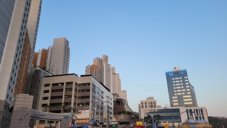 주간식당 이미지