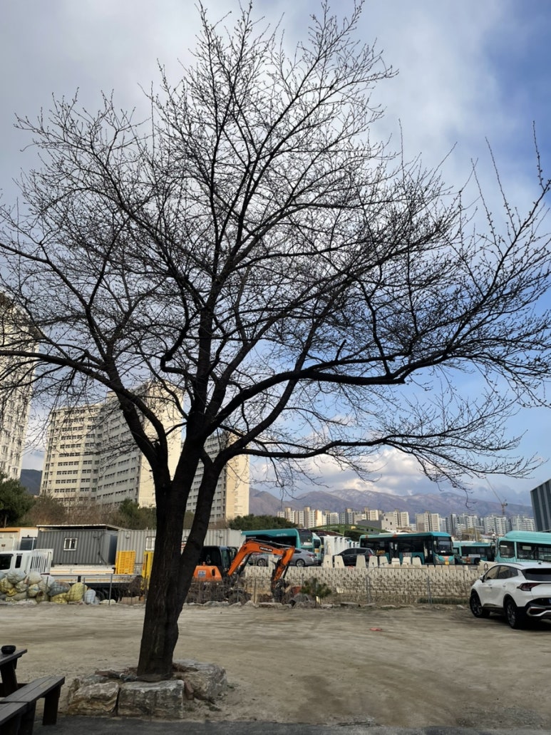 팔뚝갈비 이미지