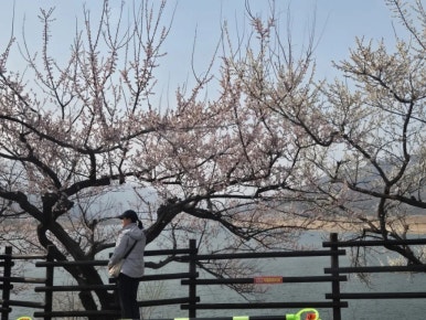 먹뱅이닭숯불구이 이미지