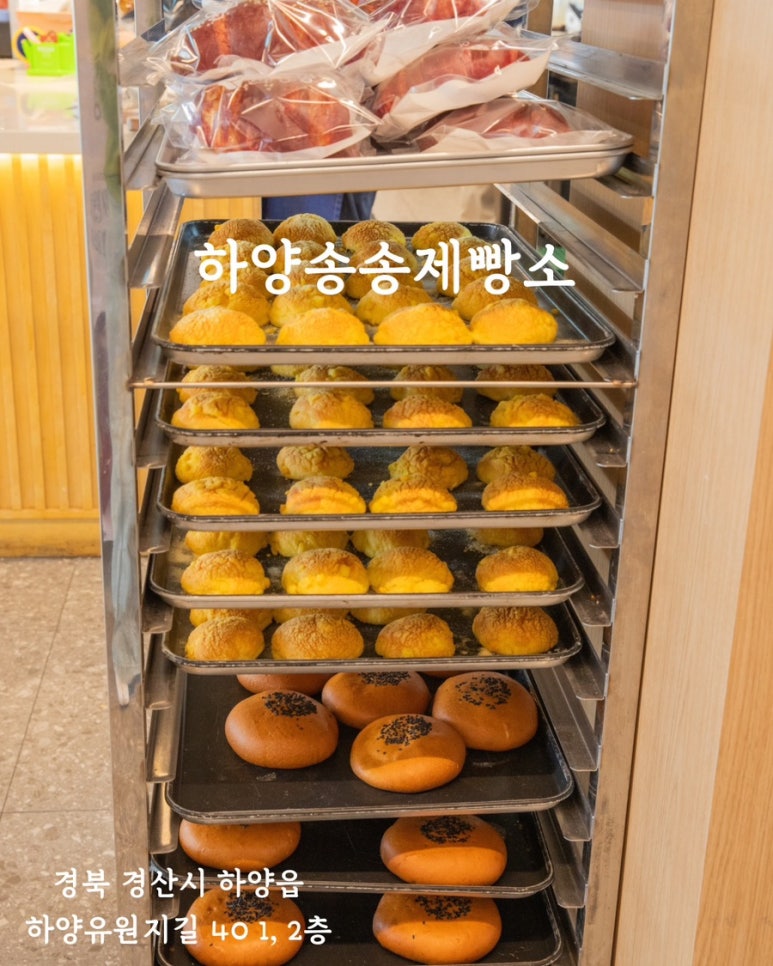 송송디저트 이미지