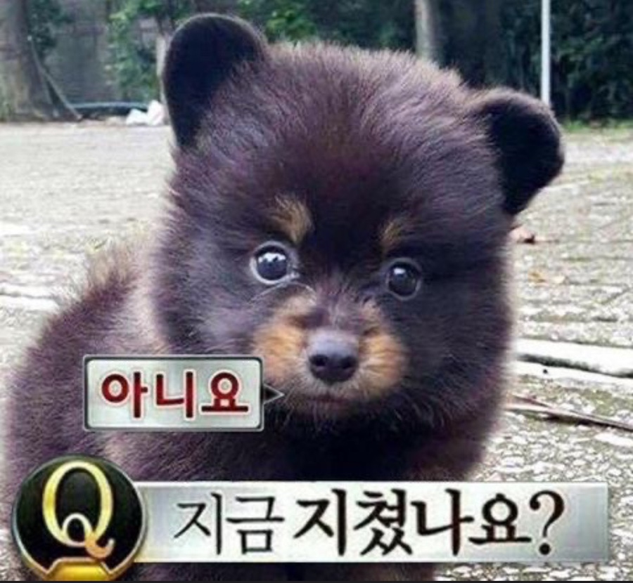 제이앤투어 이미지