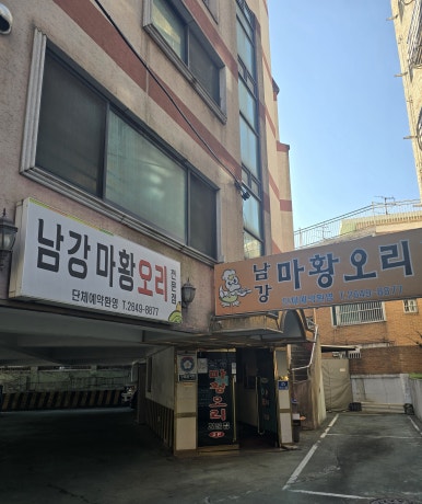 남강오리 이미지