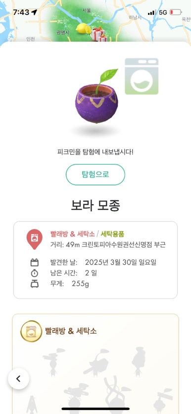보라세탁소 이미지