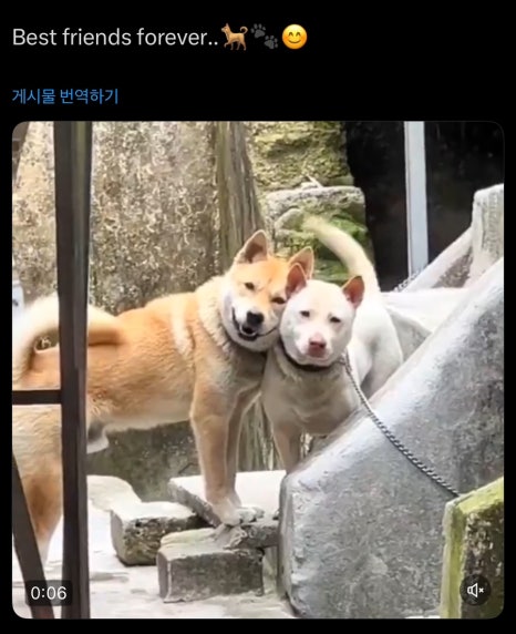 R&C 이미지