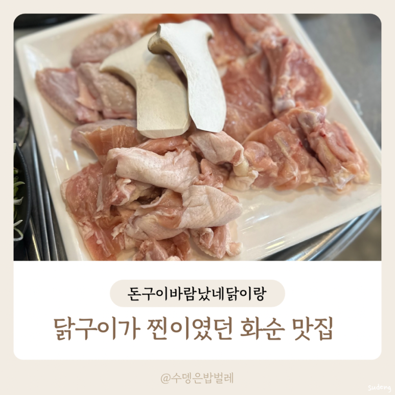돈구이 바람났네 닭이랑 이미지