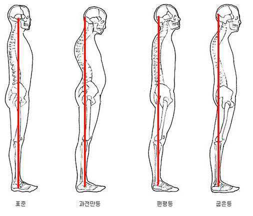 더영 이미지