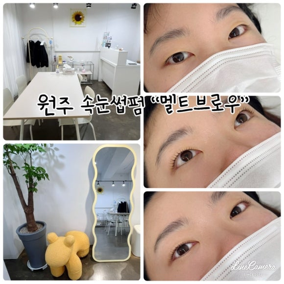 멜트브로우 이미지