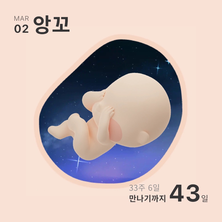 마루심 이미지