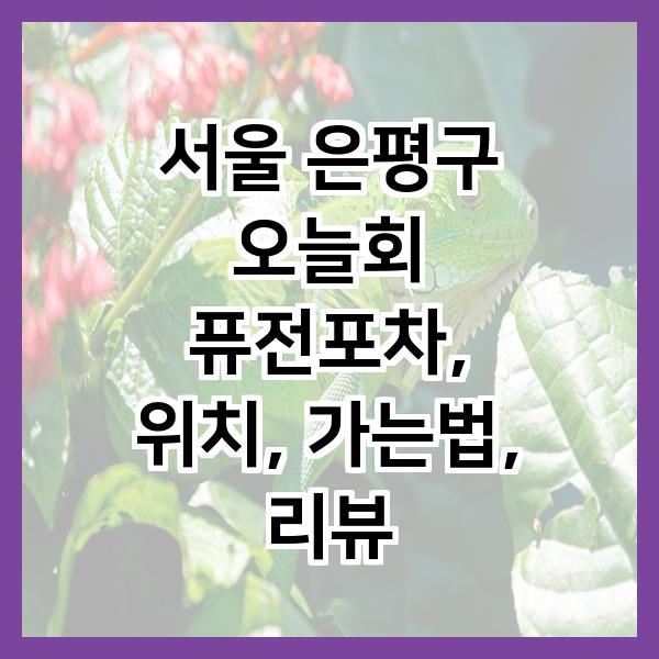 신비로마트 이미지