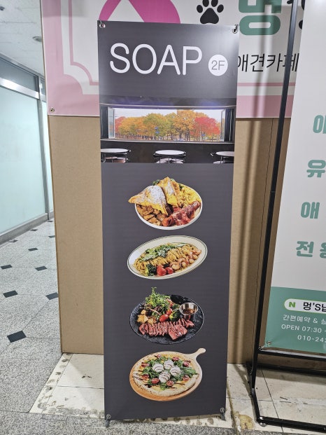 일래븐로하스 이미지