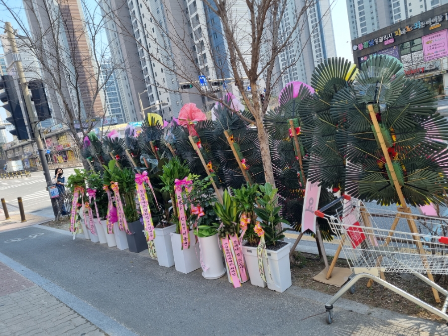 삼촌네야채청과 이미지