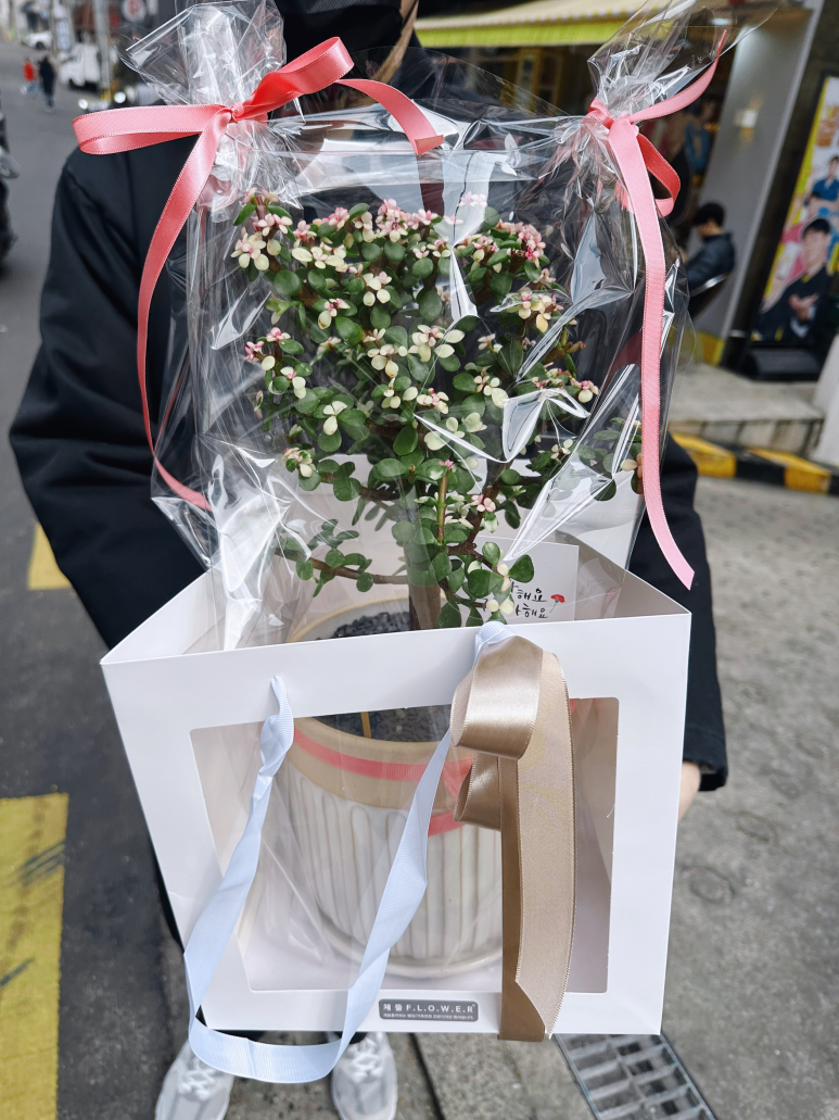 채뜰플라워 이미지