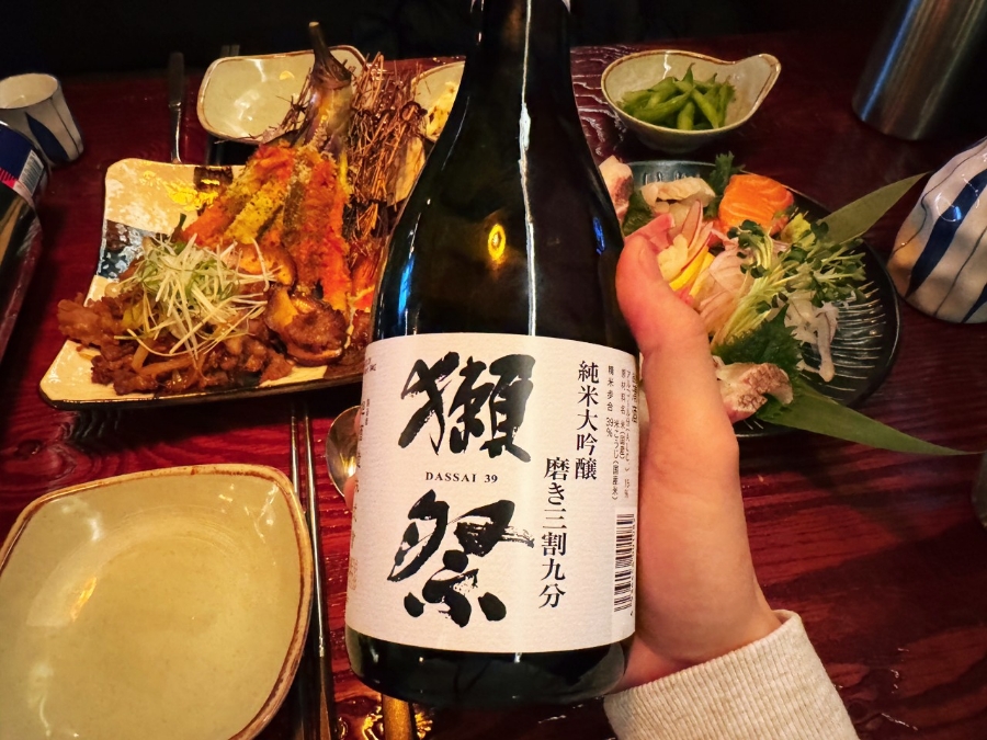양하치 이미지