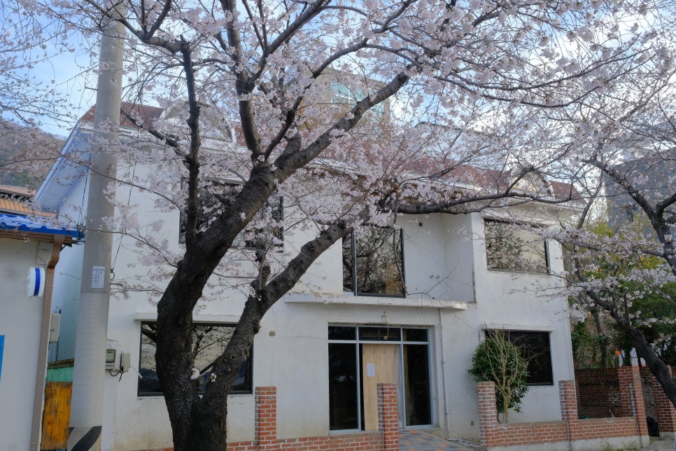 경화찻집 이미지