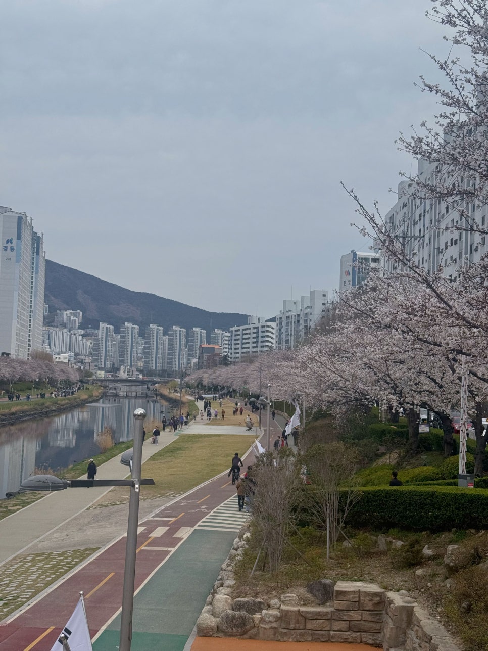 (주)다모인 이미지