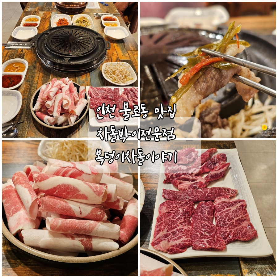 복덩이차돌이야기 이미지