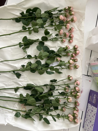 니모픽쳐스 이미지