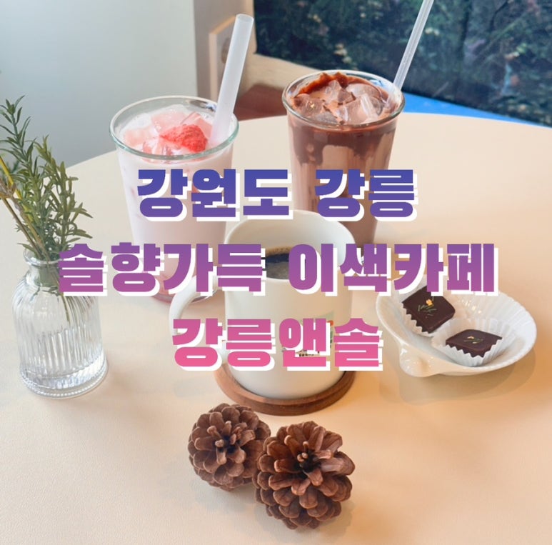 강릉앤솔 이미지