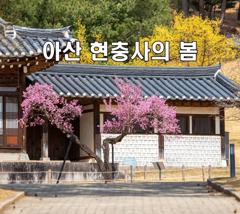 (주)이순신 이미지