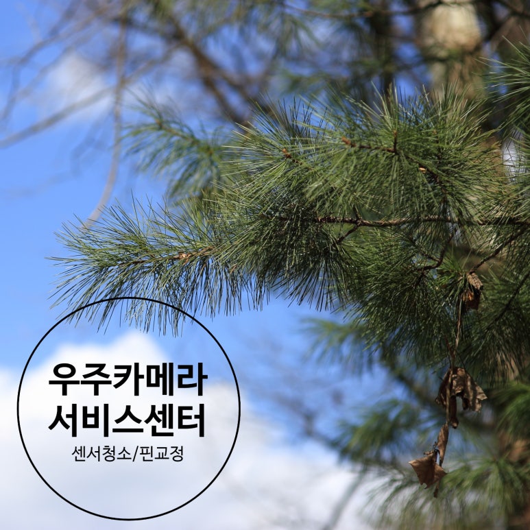 우주카메라서비스센타 이미지