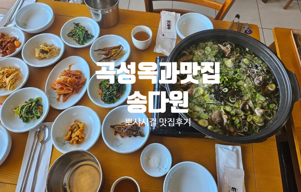 송다원 이미지