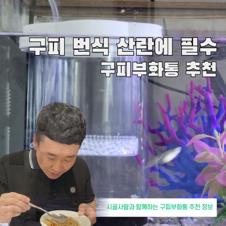 헬로구피 이미지
