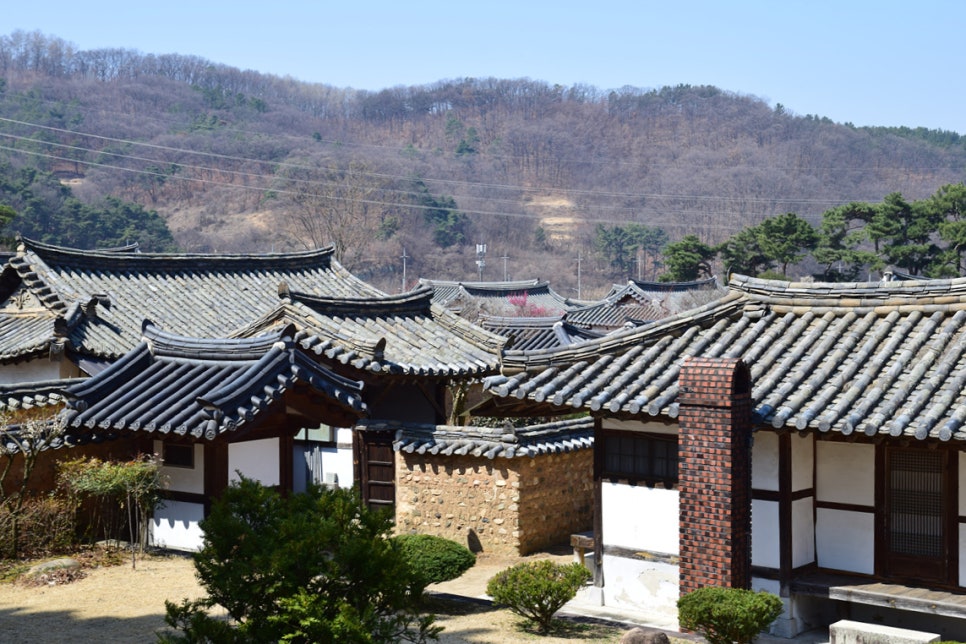문 이미지