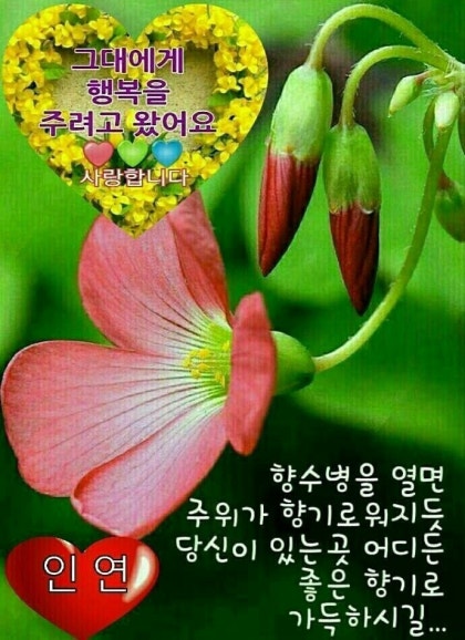 날마다 봄 이미지