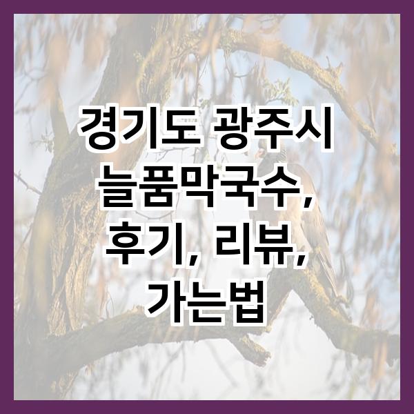 늘품막국수 이미지