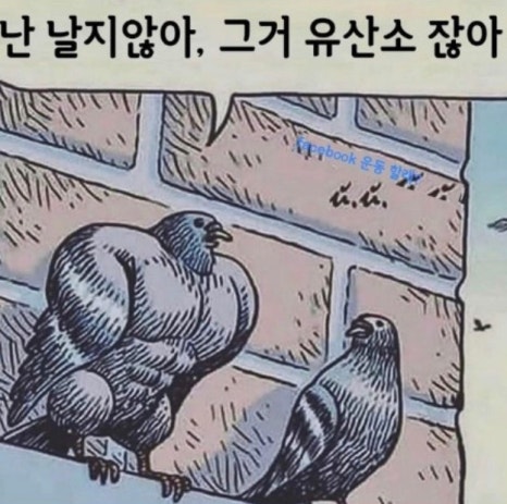 감탄카츠 이미지