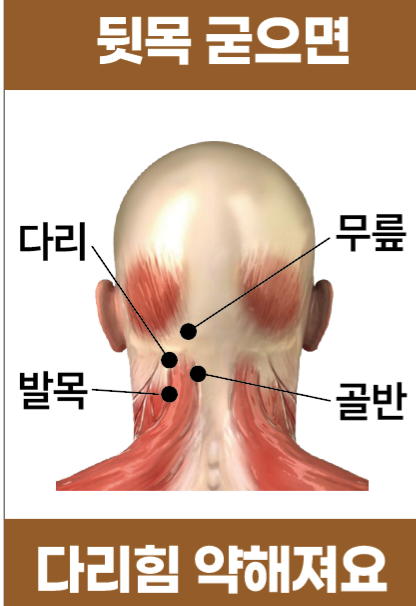 머릿결사랑 이미지