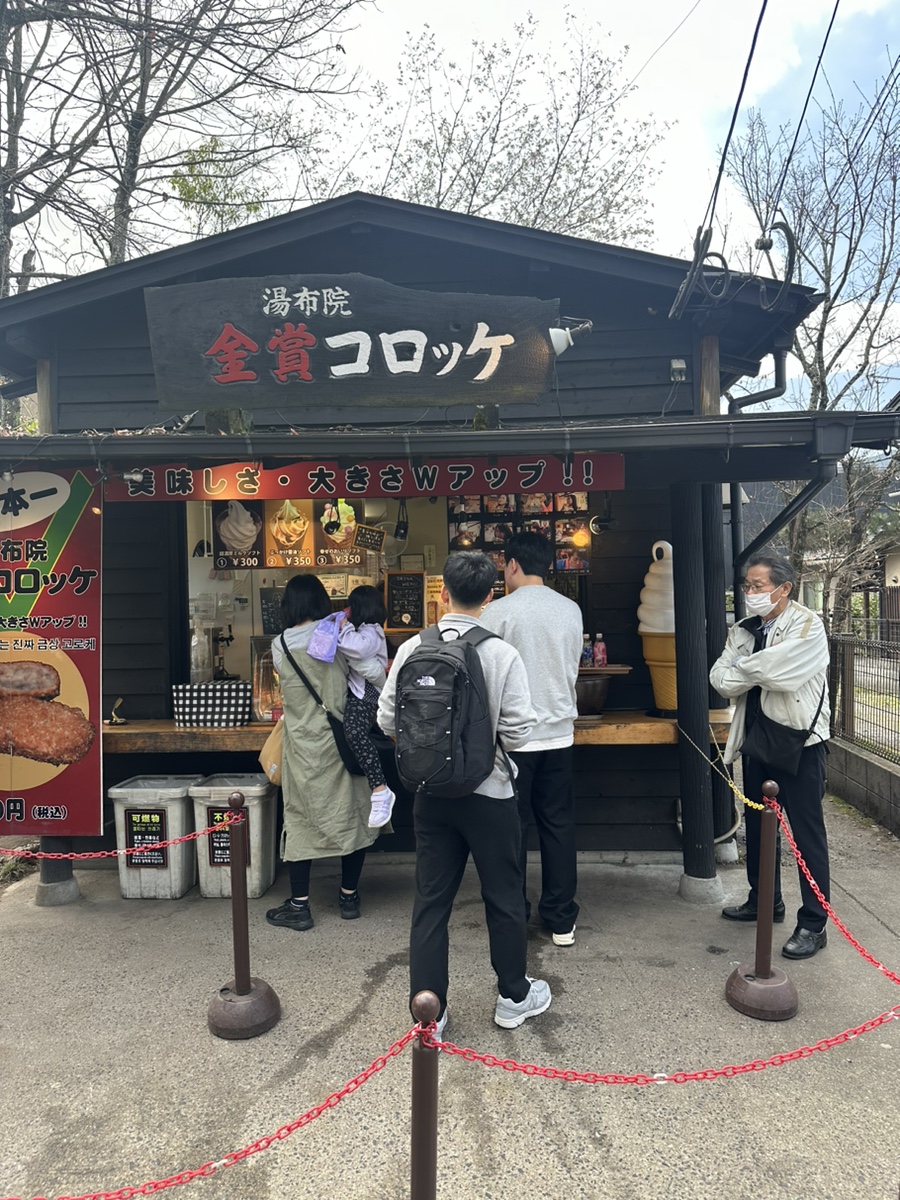 금상투어 이미지