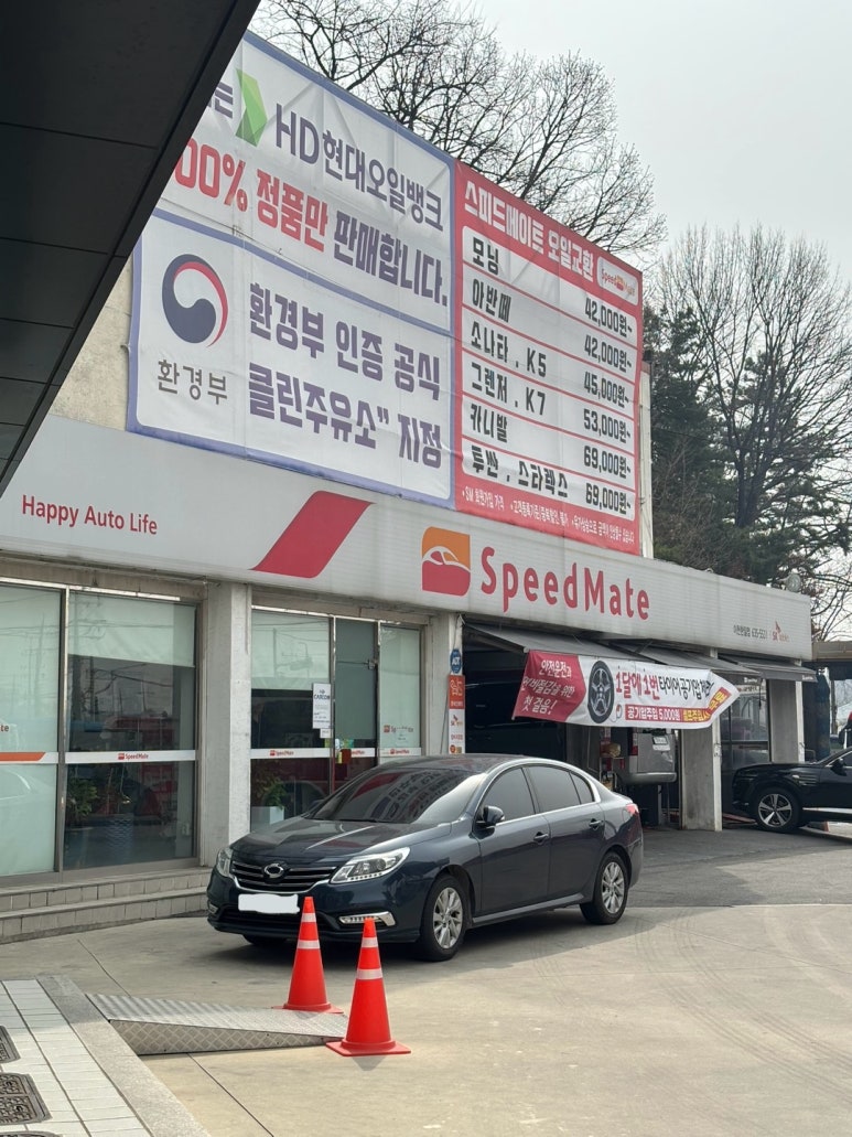 한일라지에타 이미지