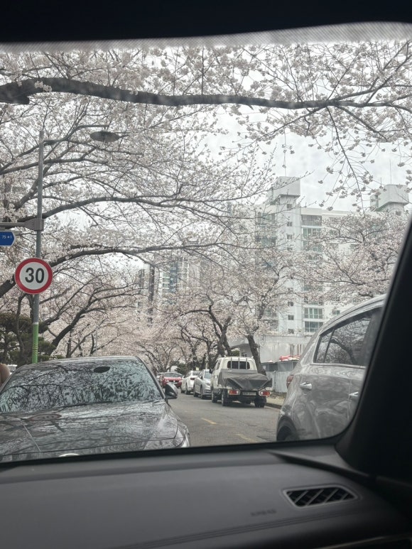 드렁크다이얼제로 이미지