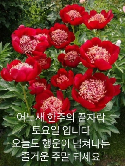 날마다 봄 이미지