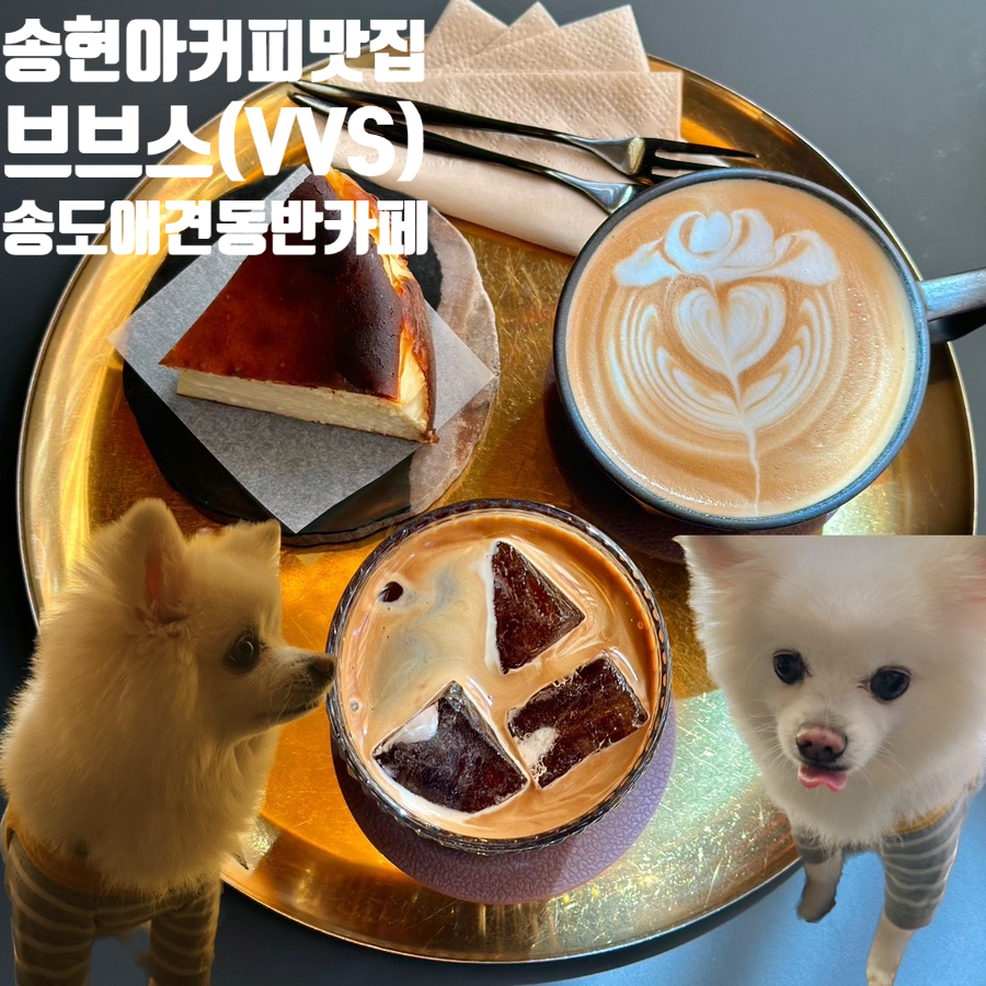 브브스VVS 이미지