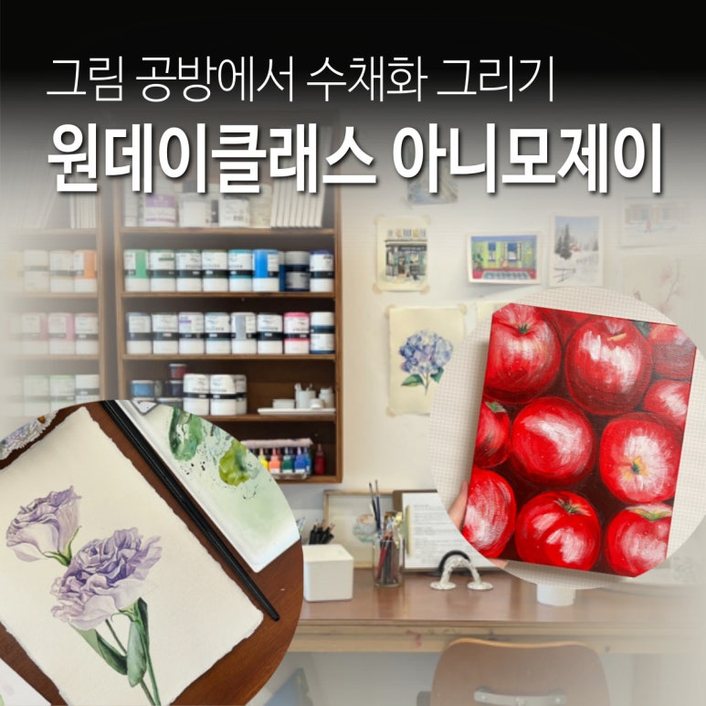 아니모데이 이미지