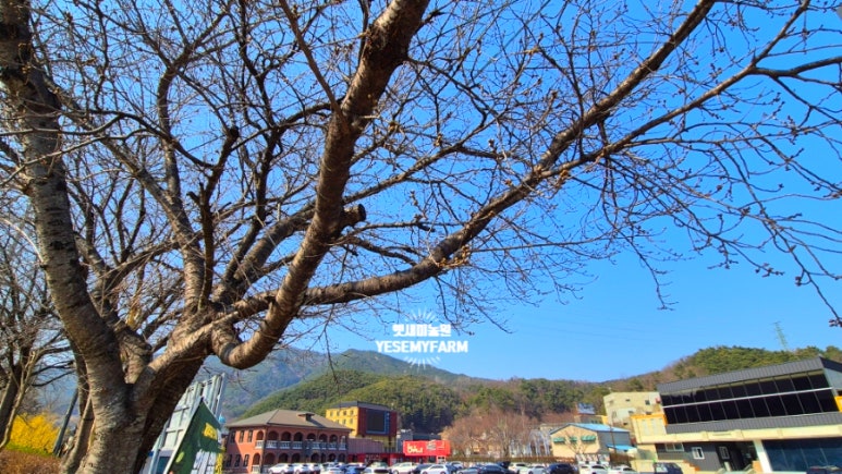합천로컬푸드 농가 레스토랑 이미지