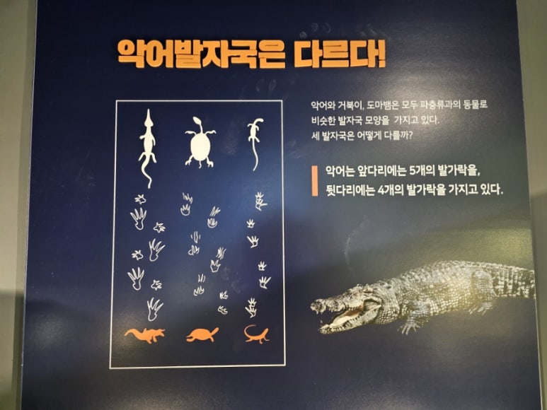 카페디노진주 이미지