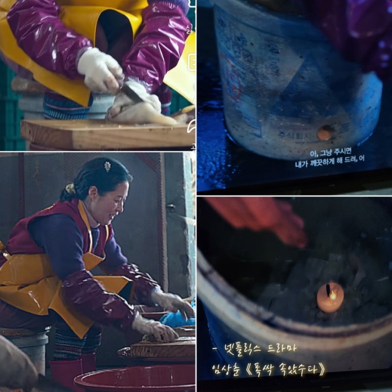 명자생선 이미지