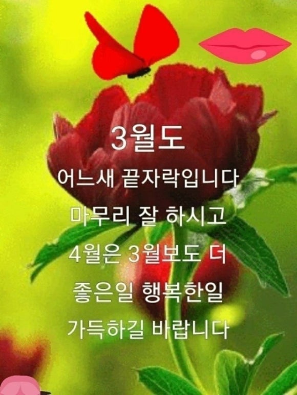청담이북인절미 이미지